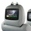 In Car Entertainment